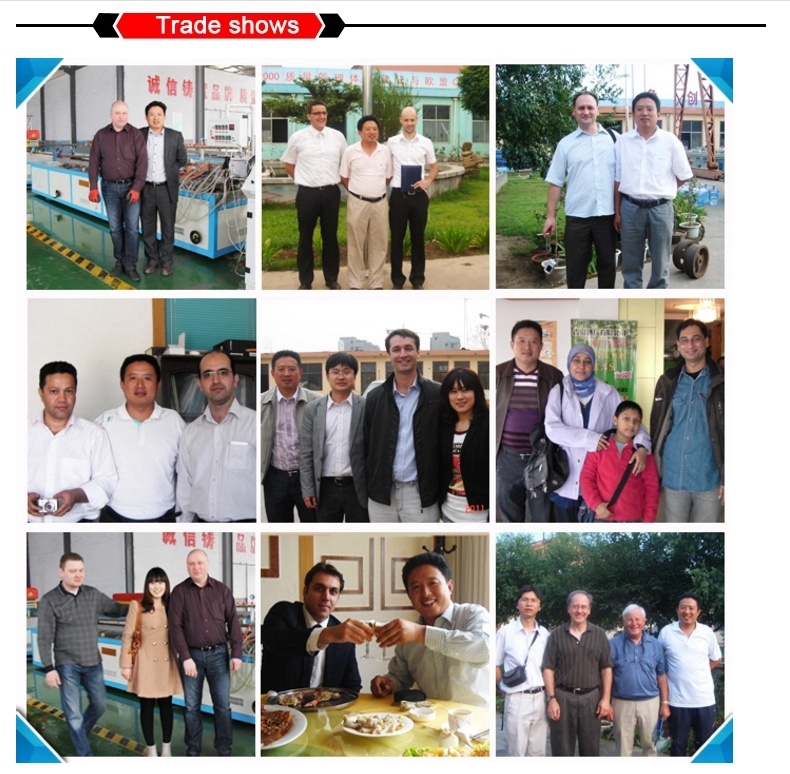 Reliable Quality Professional Customized Plastic PVC/UPVC/WPC Profile Extrusion Mould
