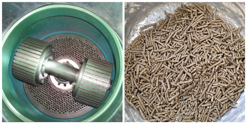 China Poultry Pellet Feed Extrusion Extruder Machine with Best Price