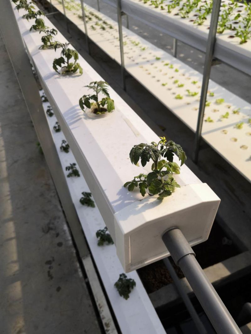 Growth Trough Used for Vertical Tower/Farm/Nft Hydroponics System