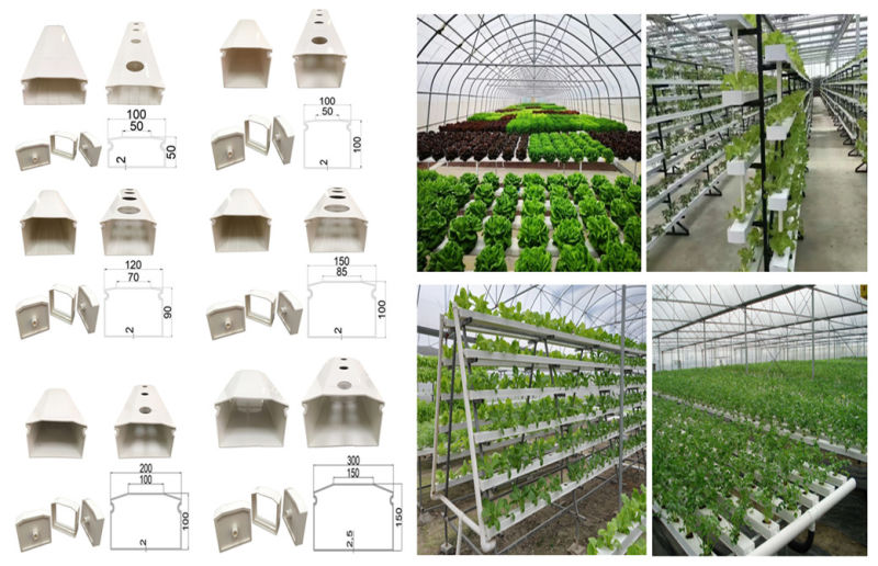 Growth Trough Used for Vertical Tower/Farm/Nft Hydroponics System