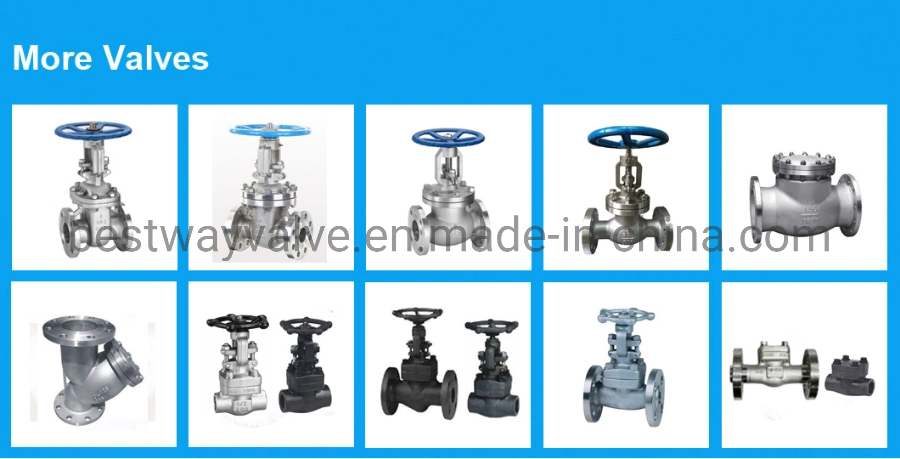 Industrial Valves 304 316 2PC Stainless Steel Floating Ball Valves