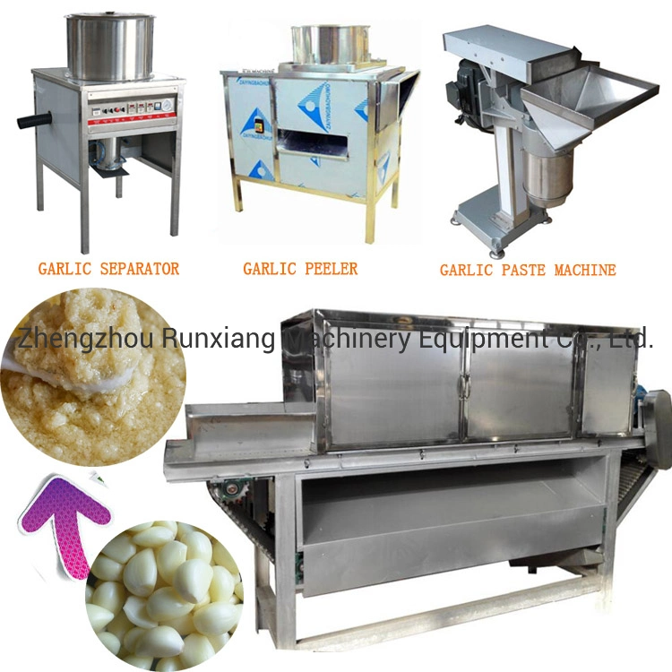 Garlic Peeling Production Line Garlic Peeling Machine Automatic Garlic Process Line