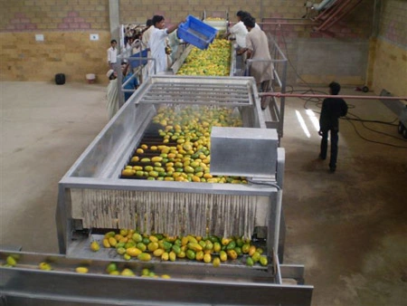 Fruit Juice Filling Production Line Mango Juice Production Line Orange Juice Production Line