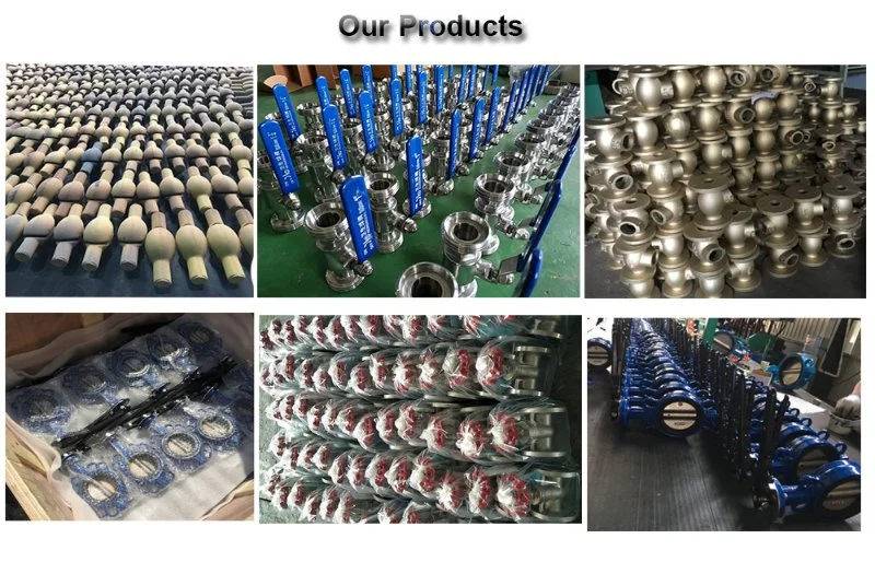 Resistance Ease Closure Check Valve Control Valve Globe Valve for Water Industry