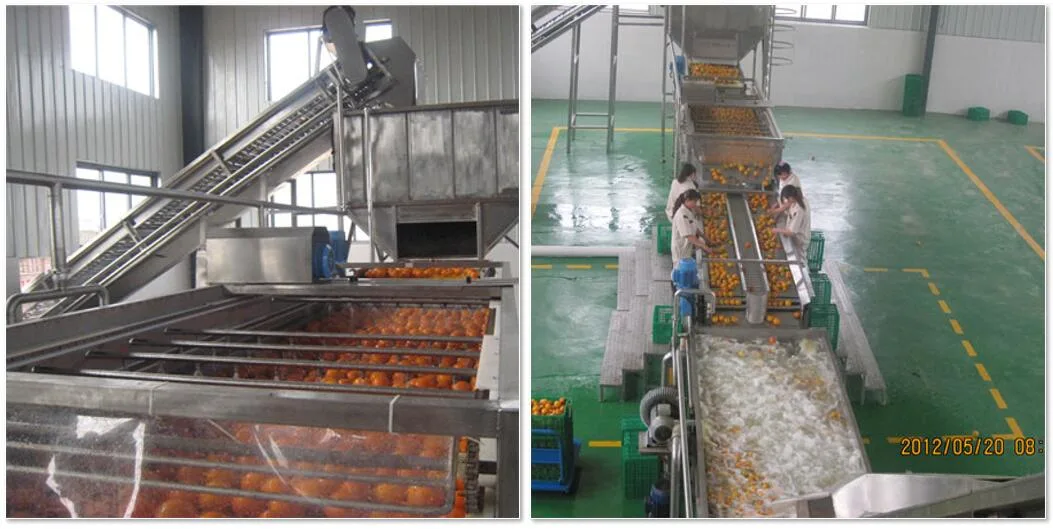 Fruit Orange Juice Production Line in China/Orange Oil Production Line/Fruit Drinking Juice Production Line