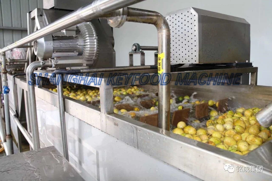 Fruit Juice Filling Production Line Mango Juice Production Line Orange Juice Production Line