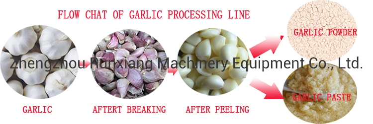 Garlic Processing Production Line / Garlic Peeling Machine Production Line