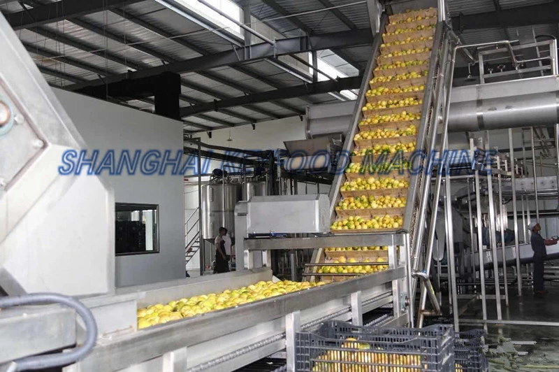 Fruit Juice Filling Production Line Mango Juice Production Line Orange Juice Production Line