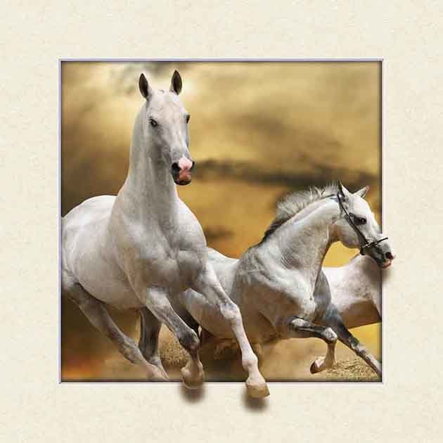 3D Lenticular Printing 5D Pictures with Frame for Home Decoration