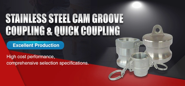 Stainless Steel 304 316 Camlock Quick Connect Fitting Hose Coupling