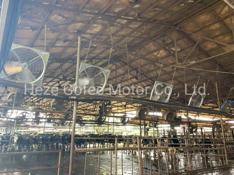 910 Hanging Fan Industrial Ventilation Exhaust Fan