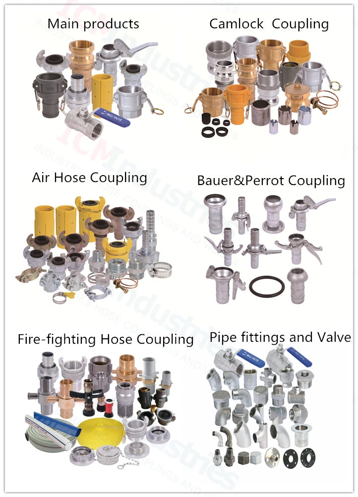 Stainless Steel 316type F Quick Connect Camlock Hose Coupler