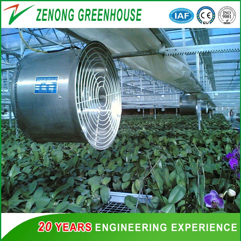 Greenhouse Air Circulation Fan for Cooling and Ventilation Axial Ventilation Exhaust Fans
