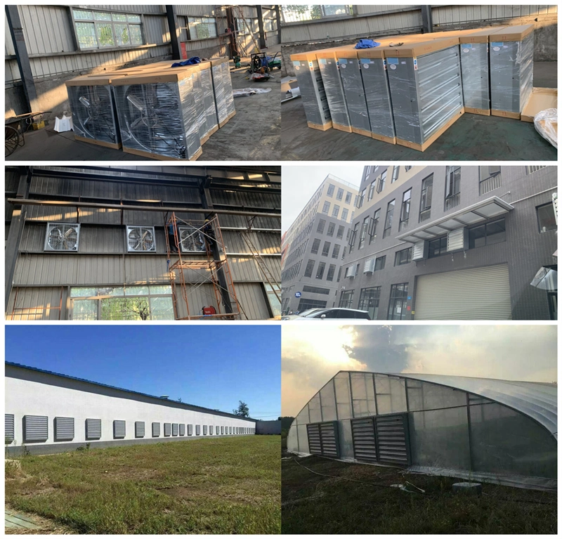 Whole Sale Aluminum Leaf Greenhouse Ventilation Fan Ventilation Exhaust Fan