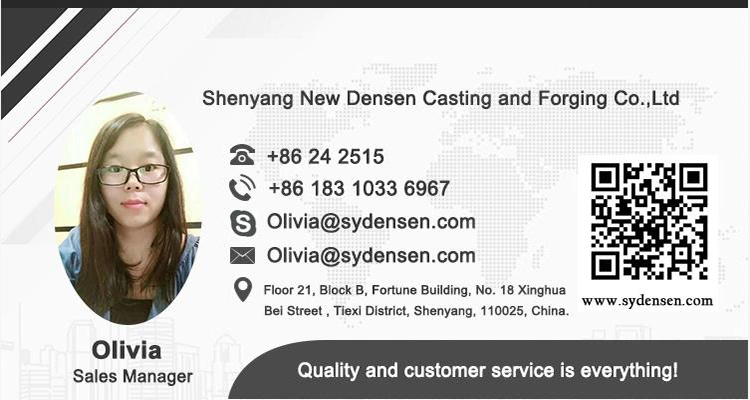Densen Customized Coupling Parts, Quick Coupling Fittings, Coupling Fittings-Intermediate