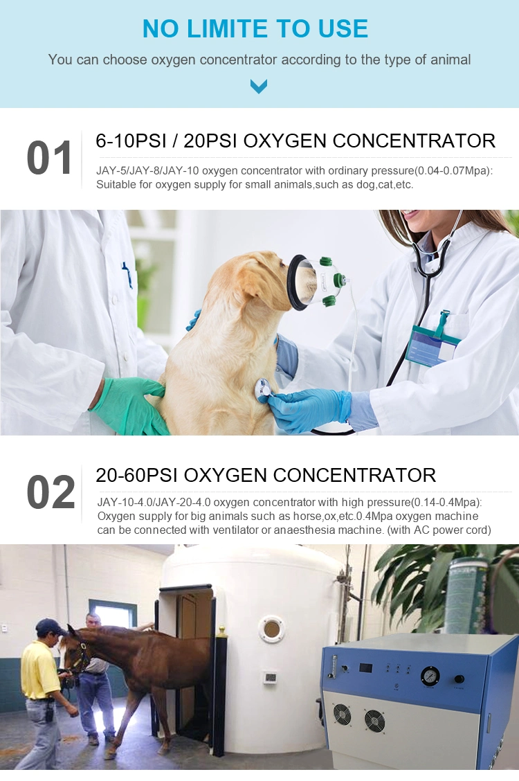 Small Size Animal O2 Concentrator Portable 5L 8L 10L Veterinary Oxygen Concentrator with Anesthesia Machine