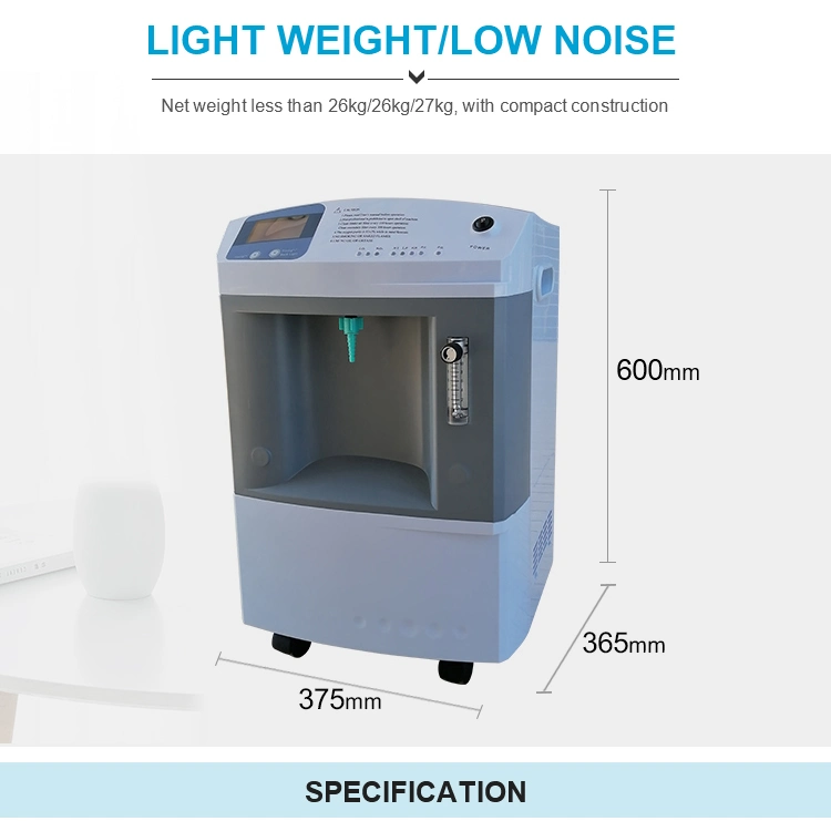 Small Size Animal O2 Concentrator Portable 5L 8L 10L Veterinary Oxygen Concentrator with Anesthesia Machine