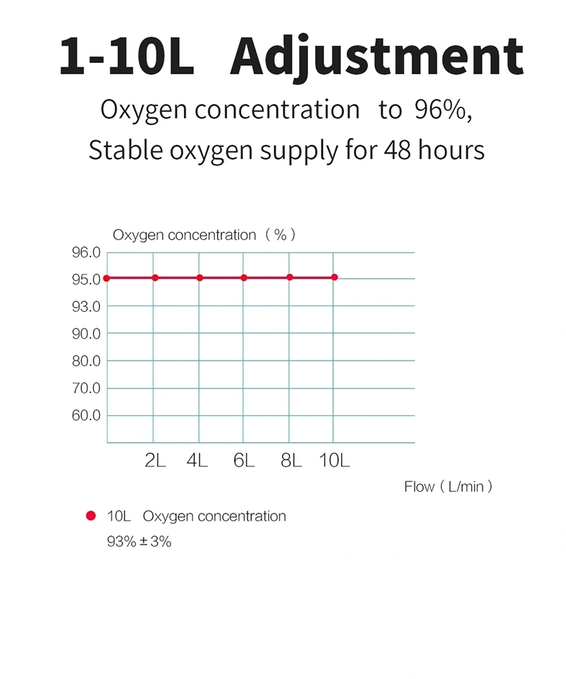 High Performance 10L Home Breathing Apparatus Double Flow O2 Concentrator Oxygen Hospital Use10 Lpm Oxygen Concentrator