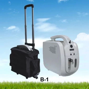 1-5 Liter Portable Cheap Oxygen Concentrator for Home