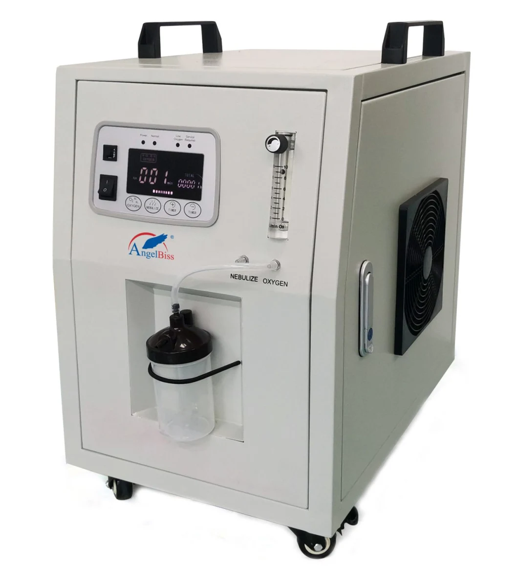 10 Liter Per Minute Oxygen Concentrator with Three Years Warranty