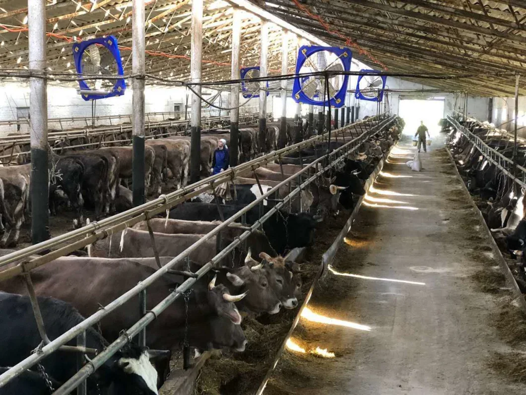 Gofee Hanging Exhaust Fan Cow House Exhaust Fan for Dairy Farm