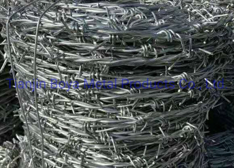 Galvanized Barbed Wire Bwg 12/14/16 Barbed Wire Staples