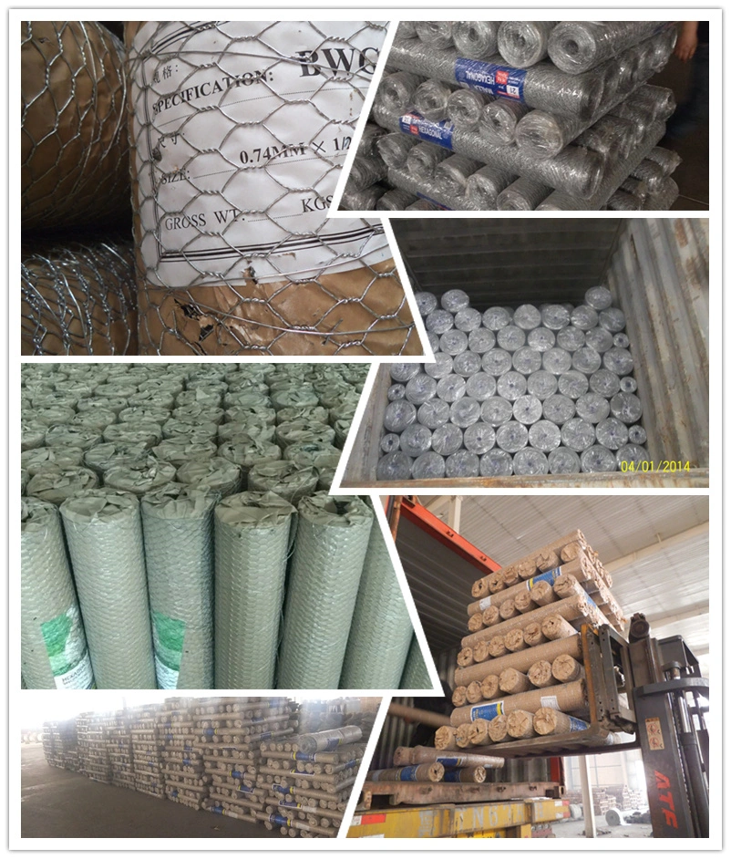 Heavy Galvanized Iron Wire Netting Hexagonal Wire Mesh