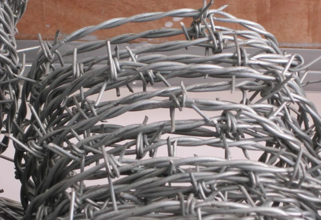 Galvanized /PVC Coated Barbed Wire Bwg 12/14/16 Barbed Wire Staples