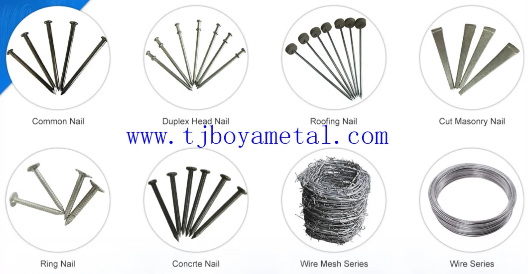 6X1.25mm/6X1.2mm/7X1.2mm Alambre Recocido/Twisted Wire/Black Annealed Wire/Tie Wire/Binding Wire/Wires