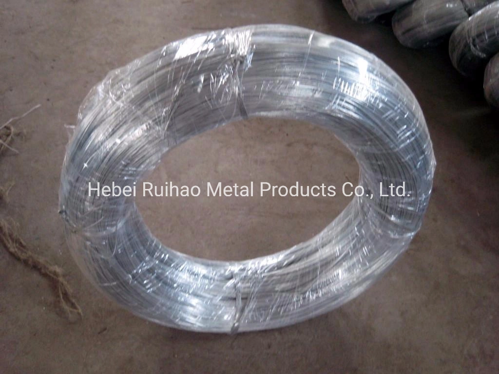 High Quality Galvanized Iron Wire Binding Wire for Construction Best Price in China