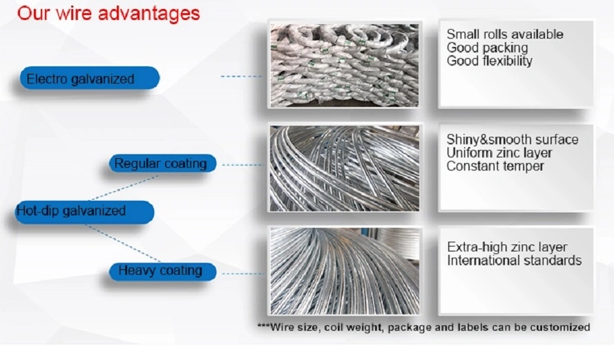 Low Carbon Electro Galvanized Iron Wire