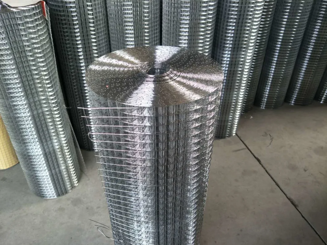 High Quality Square Wire Mesh 5X5cm Electro Hot Dipped Galvanized Welded Wire Mesh