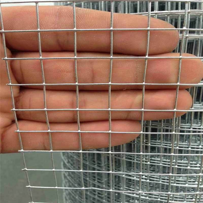 Galvanized or PVC Plastic Coated Welded Wire Mesh