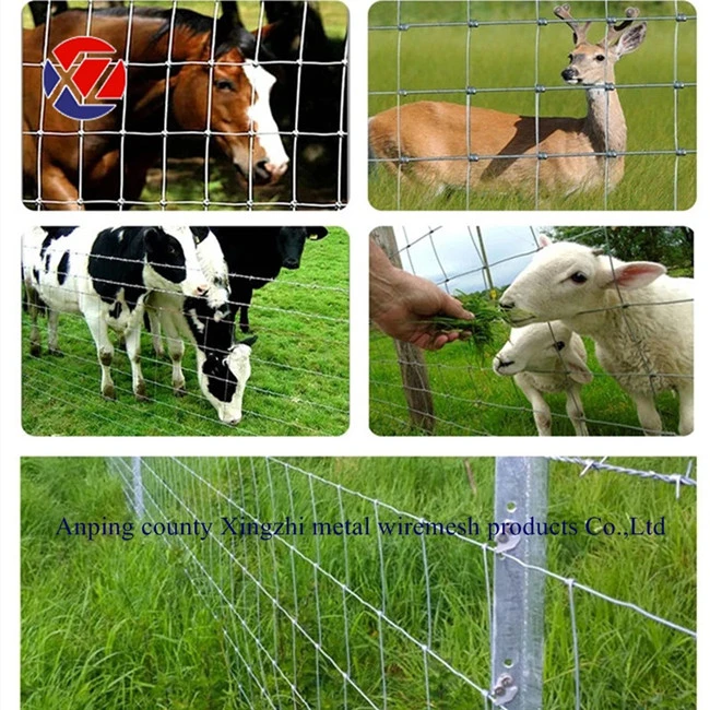 High Tensile Steel Fixed Knot Deer Farm Fencing with Low Price