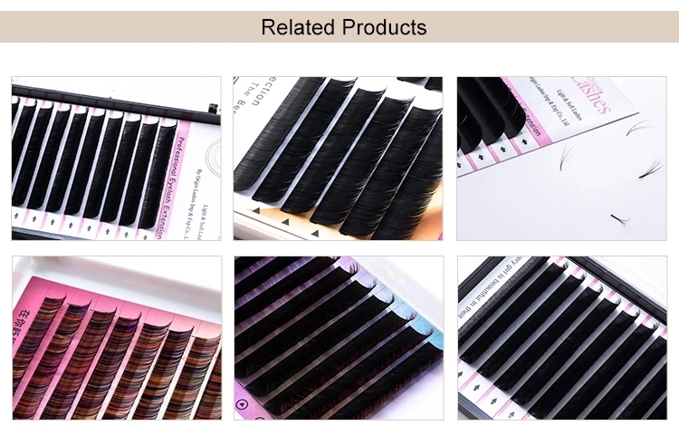 Factory Price Black Berry Korean Matt Black Eyelash Extensions Soft Lashes Ellipse Lashes False Lashes