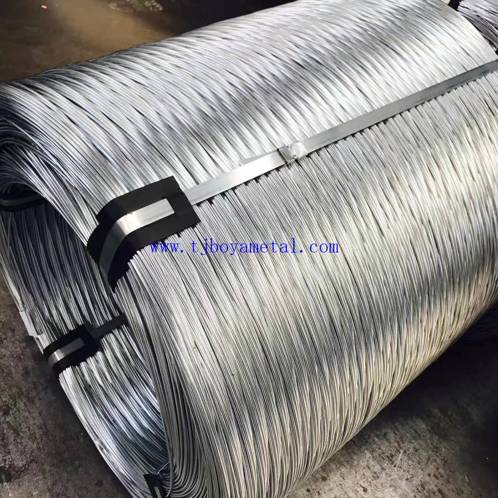 Galvanised Iron Wire/Galvanised Wire 2.5mm/Soft Galvanised Wire Mesh Price