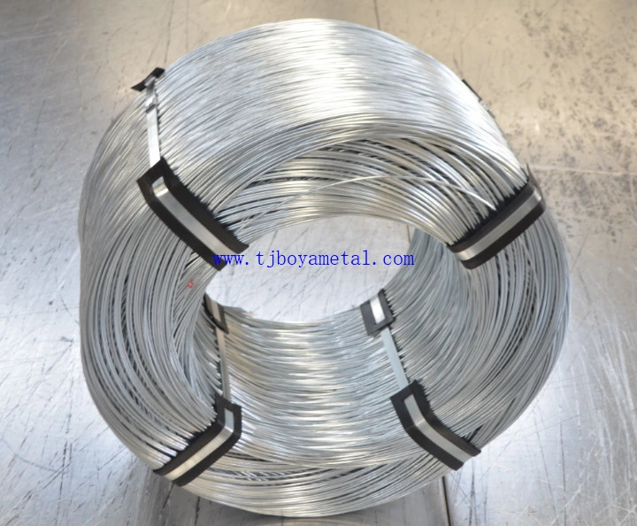 Galvanised Iron Wire/Galvanised Wire 2.5mm/Soft Galvanised Wire Mesh Price