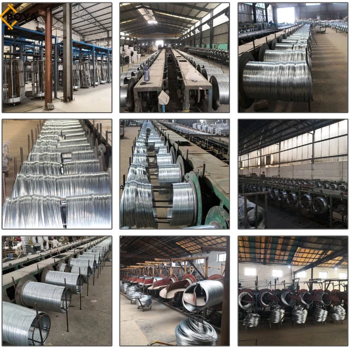 Bwg22 High Quality Electro Galvanized Steel Iron Wire From Tianjin Factory