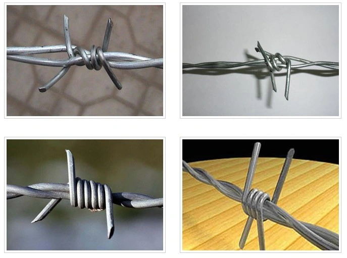 Hot Dipped Galvanized/Electro Galvanized Barbed Wire for Security Fence