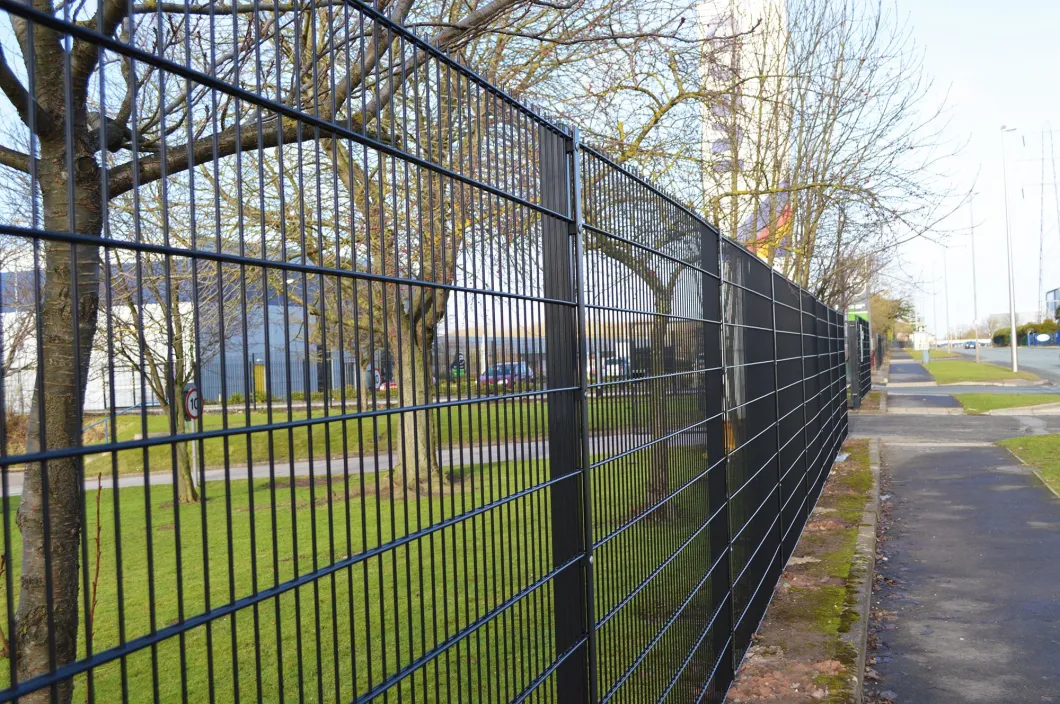 656/868/Anping Wholesale Price Welded Double Iron Wire Mesh Fence