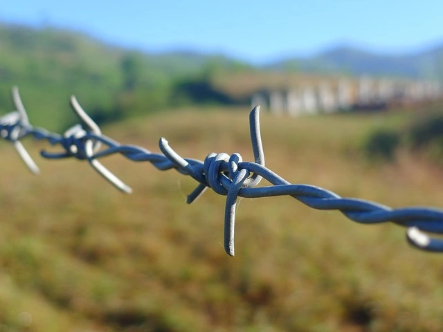 Galvanized Two Strand Barbed Wire/Double Twist Galvanized Barbed Wire