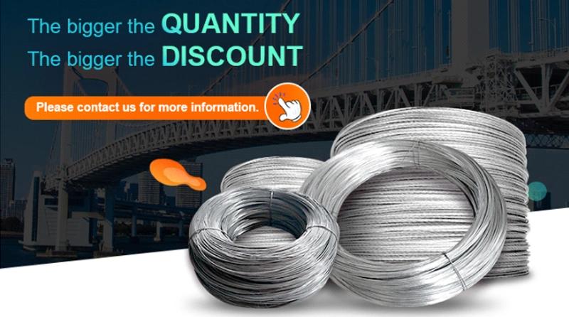 Low Price Screen Mesh Steel Wire Steel Wire for Umbrella