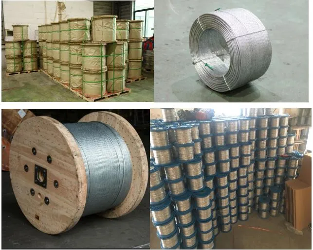 SAE 1006 SAE 1008 Galvanized Steel Wire 5 mm 6 mm Diameter Carbon Steel Wire