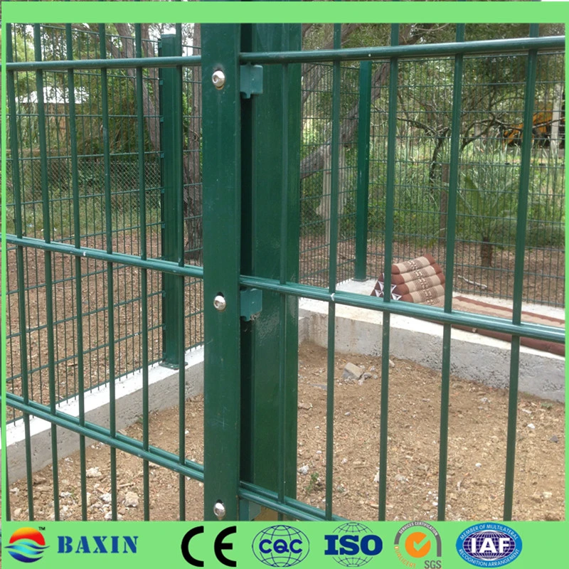 Twin Wire 6/5/6mm Fencing Mesh Fence Double Wire Galvanized Welded Wire Mesh Fence Panel