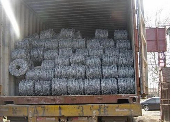 Galvanized Barbed Wire/Electric Galvanized Barebd Wire /12*14 Gauge Barebd Wire