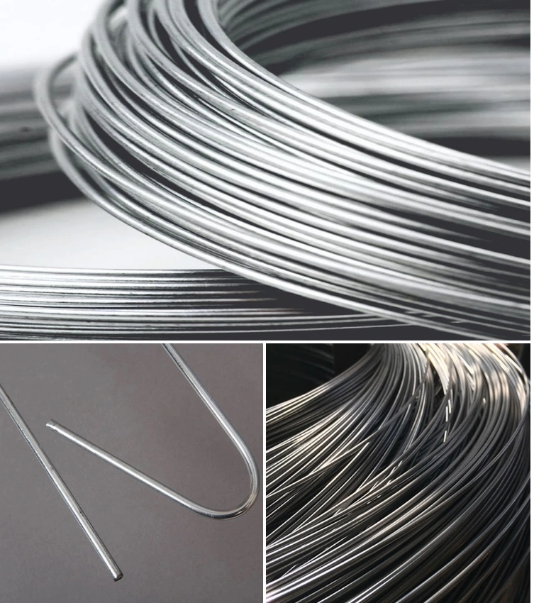 Prime Quality Competitive Price 2.5mm Diameter Galvanized Steel Wire for Making Mesh