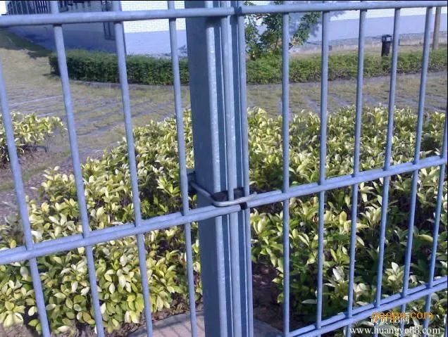 Garden Galvanized Welded Fence Double Twin PVC Coated Wire Mesh