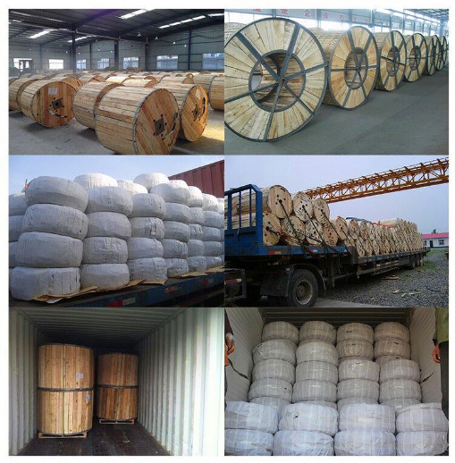 Galvanized Steel Wire/Steel Wire/Binding Wire