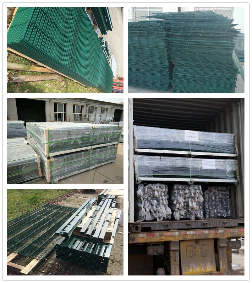 PVC Coated 868 656 Welded Double Wire Garden Fence Panel