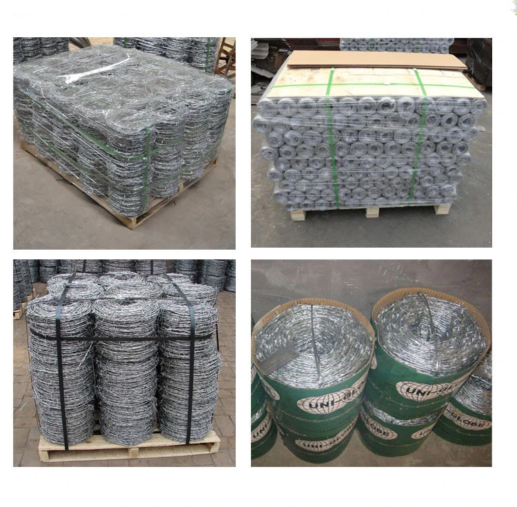 Galvanized Iron Barbed Wire for Building with Factory Price